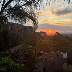 Meet your Posher, Mia